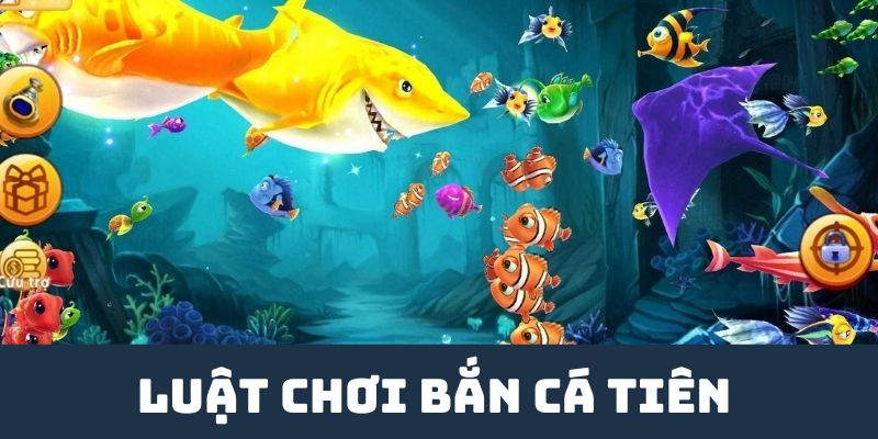 Luật chơi bắn cá tiên SHBET cơ bản phải nắm