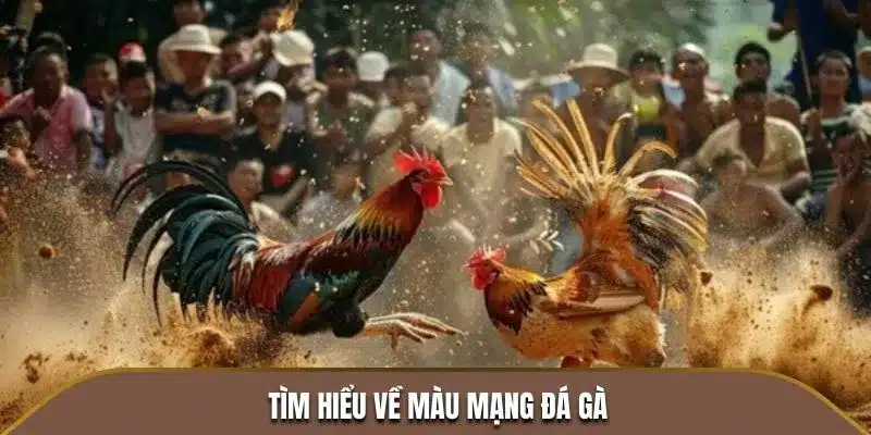 Tìm hiểu màu mạng đá gà